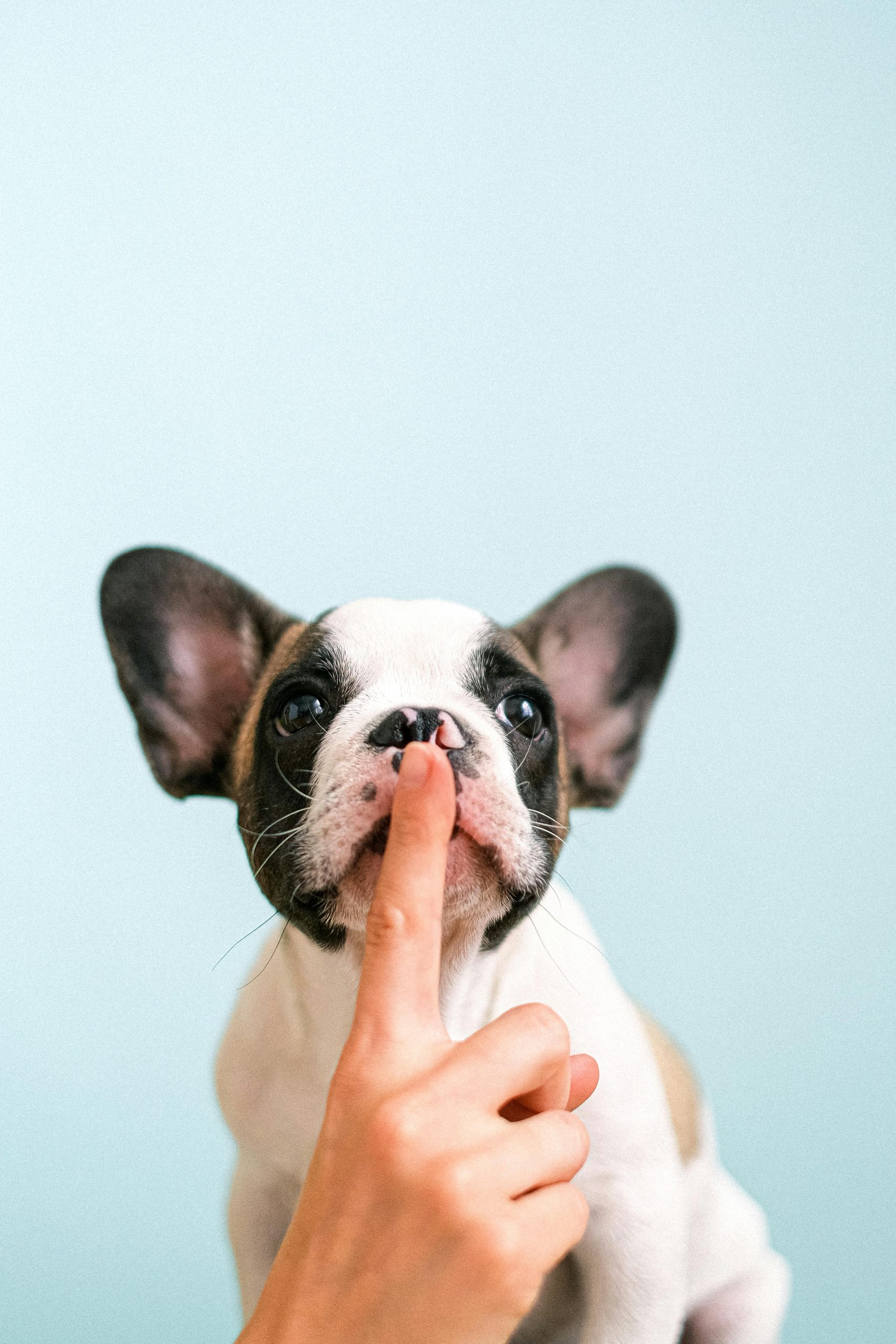 Silent Video and “Sound-Off” Social Media Design: Capturing Attention Without Audio